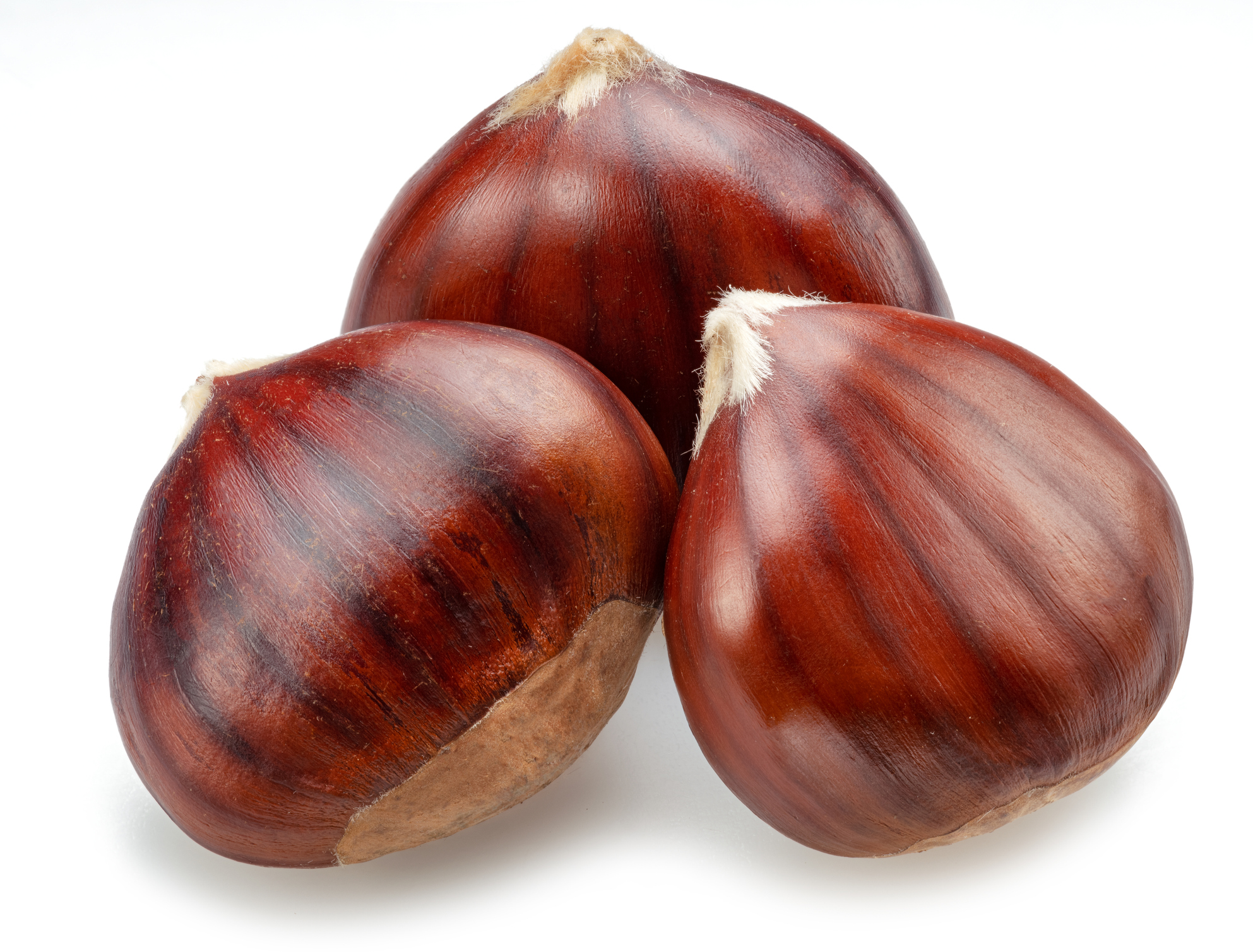 合掌瓜搭配紅蘿蔔和栗子一起煲湯,湯頭會格外甘醇濃郁。