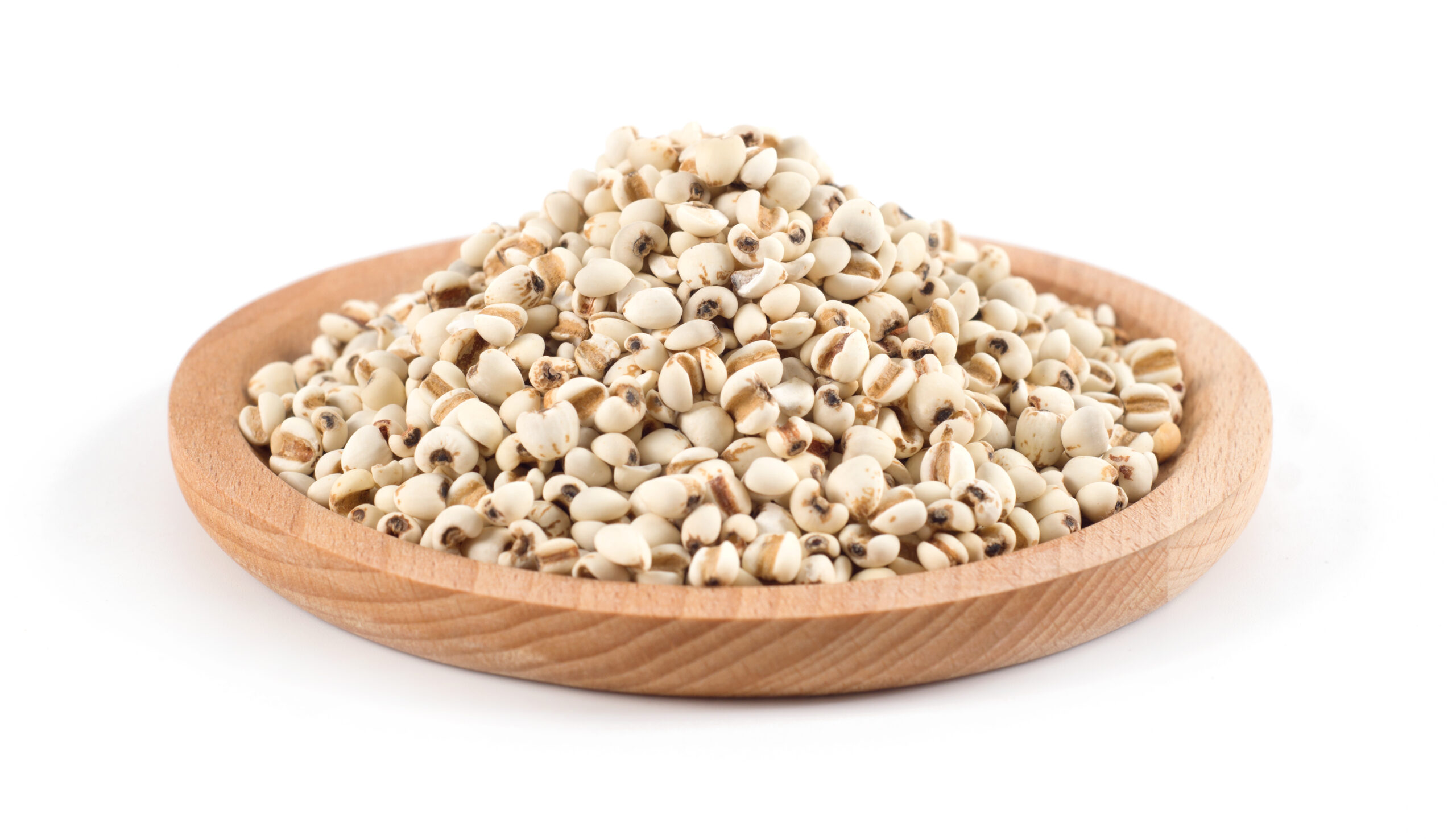 基本配方中額外加入薏米與陳皮等去濕化痰食材。