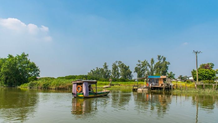 位於元朗的南生圍被錦田河及山貝河包圍,擁有豐富的生態系統,是觀賞候鳥和拍攝自然風光的好地方。