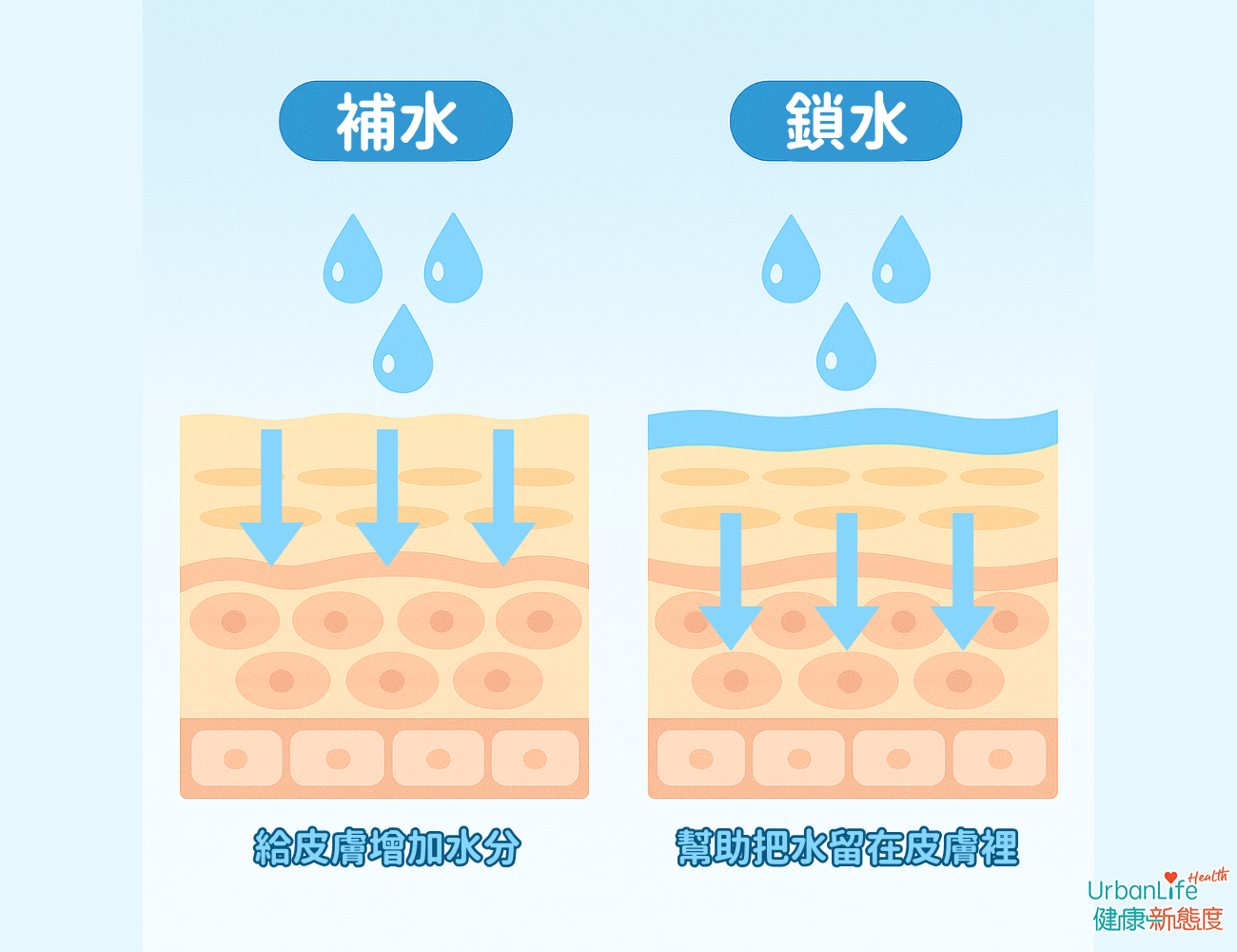 補水和鎖水是兩種不同的功能，對於保濕肌膚非常重要
