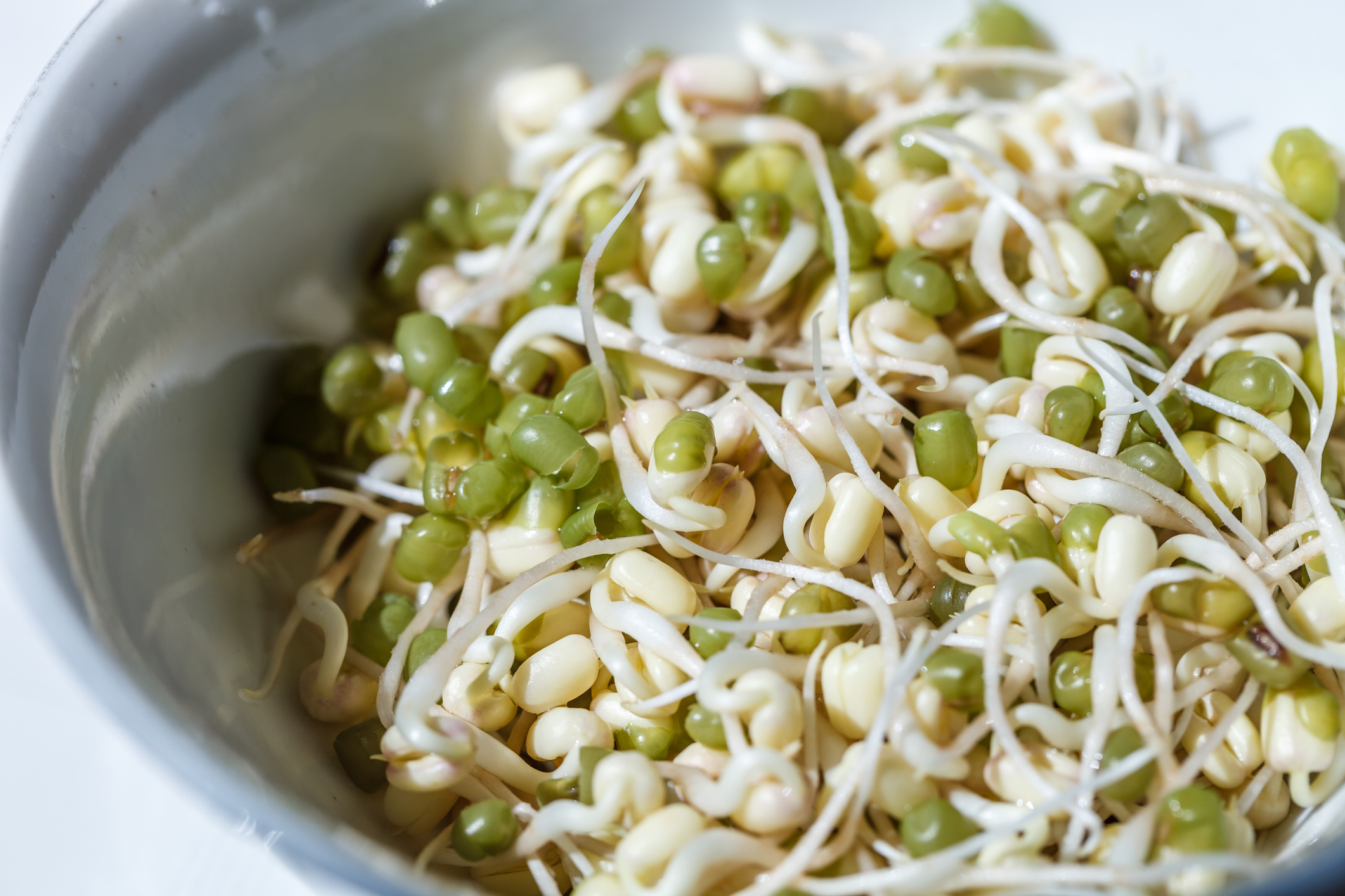 近年一股「芽菜減肥法」熱潮席捲日本和台灣,不少名人明星都將它奉為減肥與增肌的秘密武器!