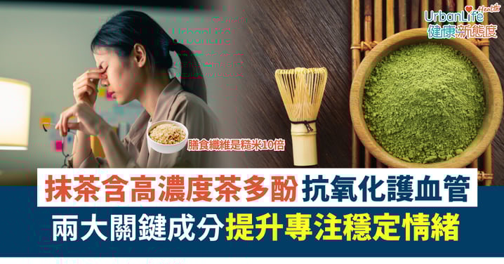 【抗氧化】抹茶的科學功效：從專注力到抗壓與抗氧化一次了解