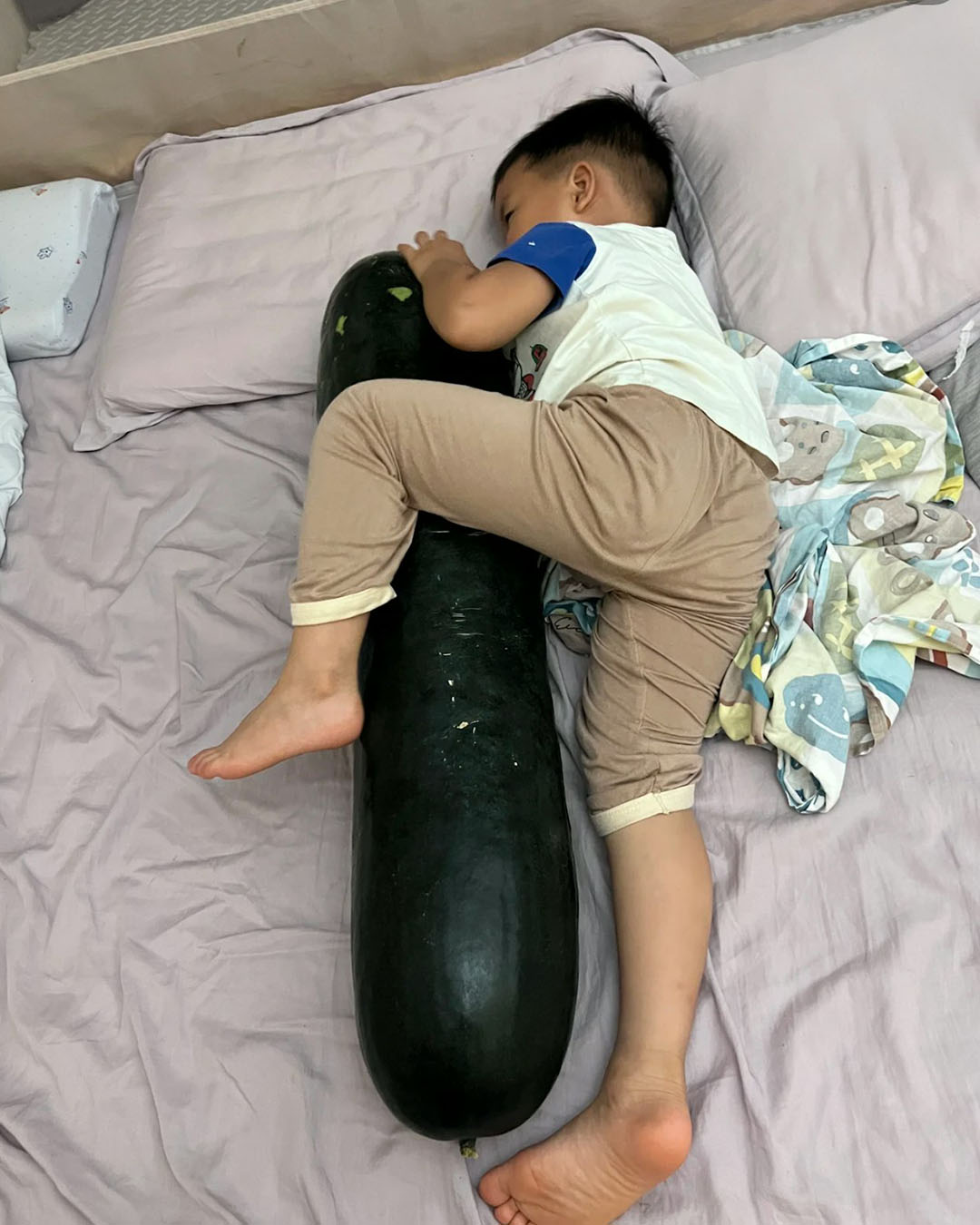 近日在中國網路上,興起一股「抱著冬瓜睡覺」的獨特風潮,聲稱可以有效防暑降溫!