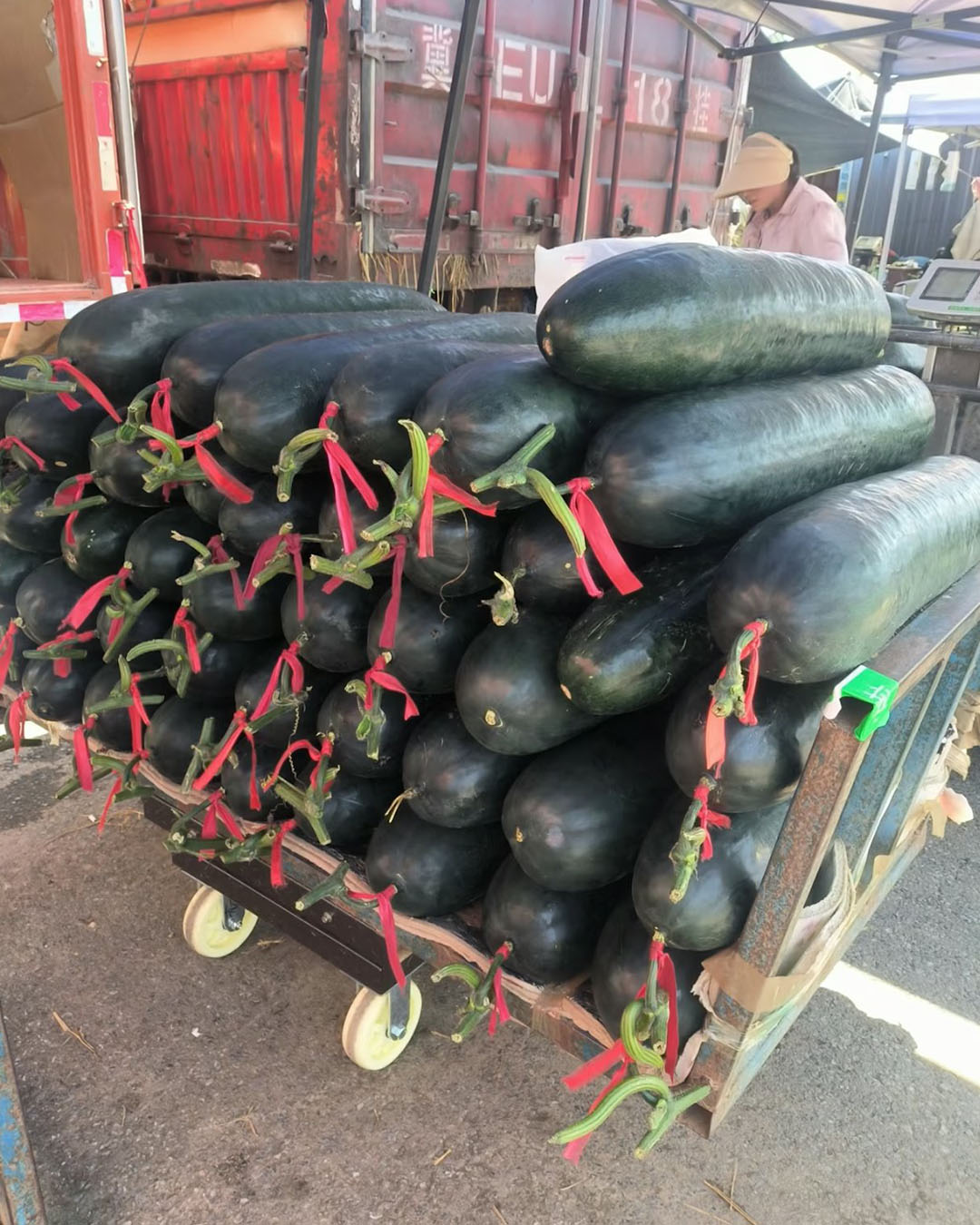 湖南省中醫藥大學附屬第二醫院治未病中心主任熊暑霖介紹,冬瓜含水量高達95%以上,當人體接觸冬瓜時,它能快速吸收體表熱量。