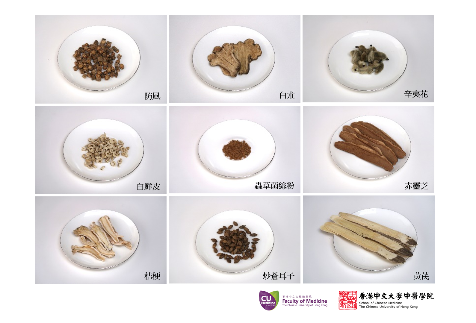 近四成「玉屏風散加味」組別的患者在接受第四週治療後,已經表示生活質素大有改善,療效更可維持到第16週。