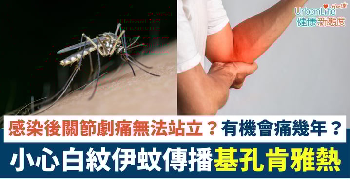 【傳染病】感染後關節劇痛無法站立?小心蚊傳「基孔肯雅熱」!白紋伊蚊本港常見、須做足防蚊措施