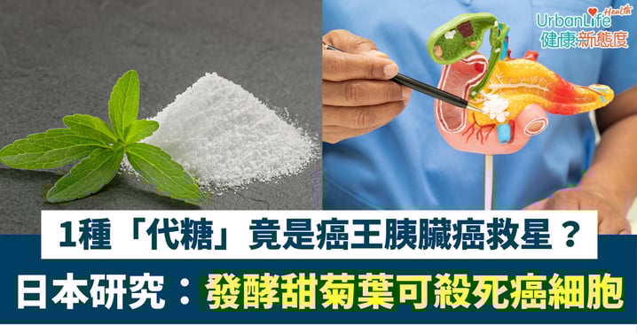 【癌症治療新突破】「代糖」竟是癌王救星？日本研究：發酵甜菊葉可殺死胰臟癌細胞！