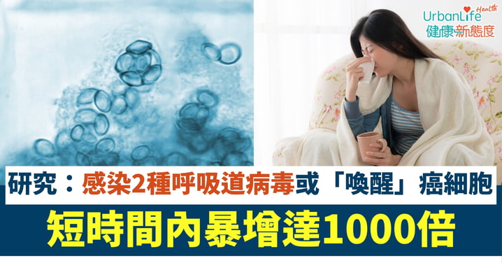 【癌症成因】傷風感冒竟會「喚醒」癌細胞?研究:乳癌康復者感染2種病毒、復發風險或大增