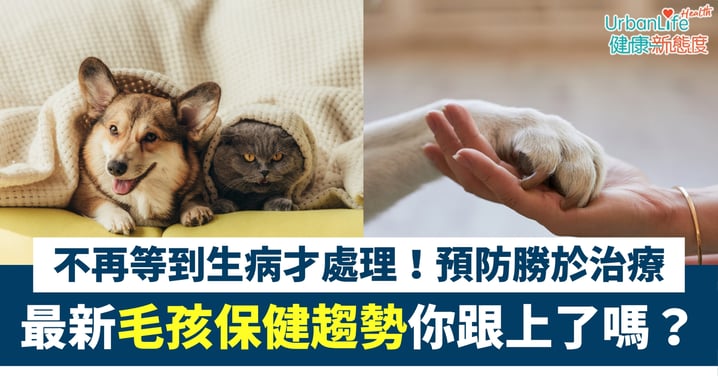 【預防勝於治療】不再等到生病才處理!最新毛孩保健趨勢你跟上了嗎?