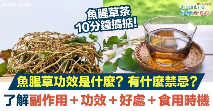 【魚腥草】魚腥草功效是什麼?有什麼禁忌?一文了解副作用/最佳食用時機/皮膚功效/好處