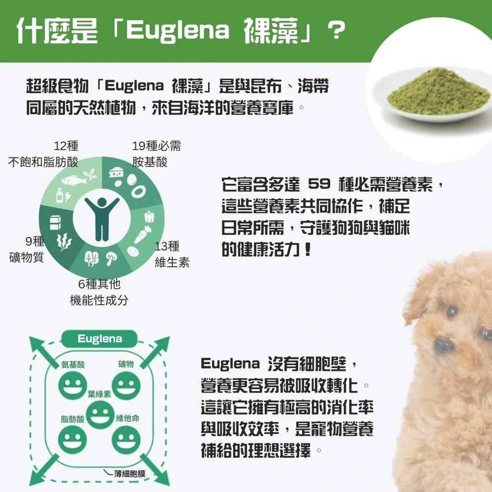 寵物界則出現了一種來自海洋的「超級食物」— 裸藻（Euglena）