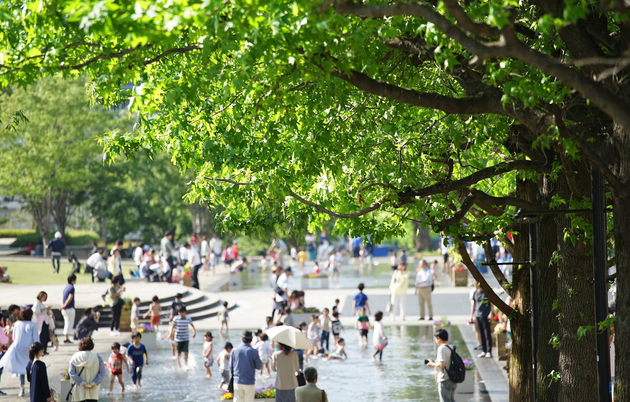 夏日炎炎,到湖泊、溪澗或溫泉戲水,是許多家庭的消暑活動。