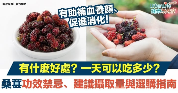 【桑葚】桑葚有什麼好處?一天可以吃多少?桑葚功效禁忌、選購指南與保存方法