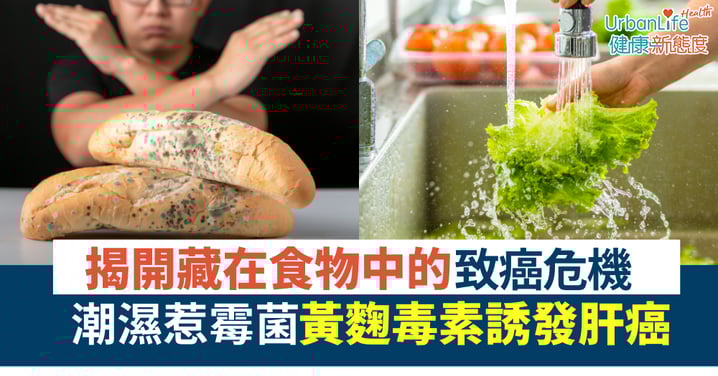 【預防癌症】肝癌與黃麴毒素:揭開隱藏在食物中的致癌危機