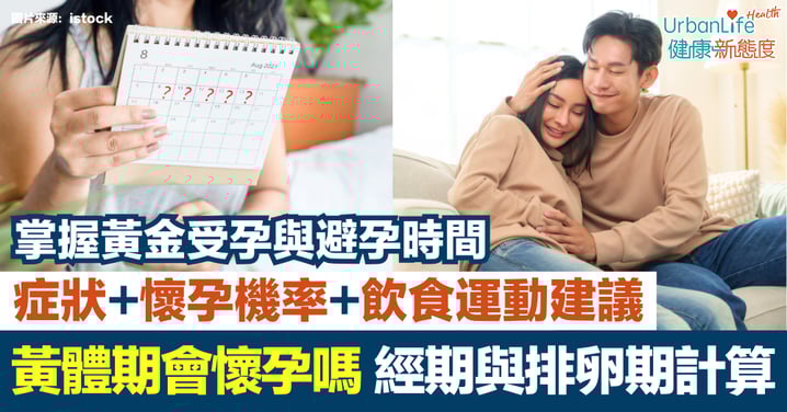 【黃體期大解密】掌握黃金受孕期和避孕時間|經期與排卵期計算+症狀+懷孕機率+飲食運動建議