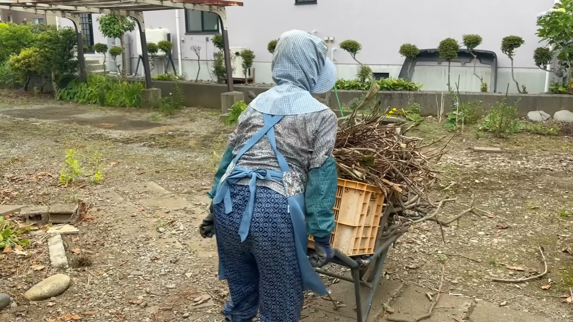 午餐後，她會午睡約2小時。春、秋天下午會到田裡做農活。