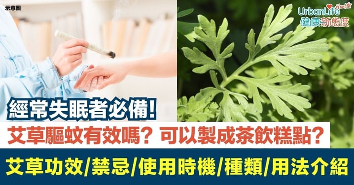 【艾草】艾草驅蚊有效嗎？可以製成茶飲糕點？艾草功效、禁忌、使用時機、種類及用法介紹