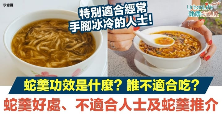 【蛇羹】蛇羹功效是什麼?誰不適合吃?一文了解蛇羹好處、不適合人士/情況、攝取量及蛇羹推介