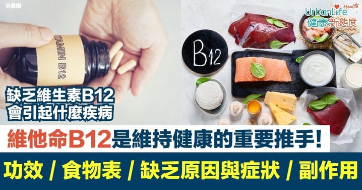 一覽B12維他命功效＋B12食物一覽表＋維他命B12缺乏原因＋症狀＋副作用！一起了解這個維持健康的重要推手