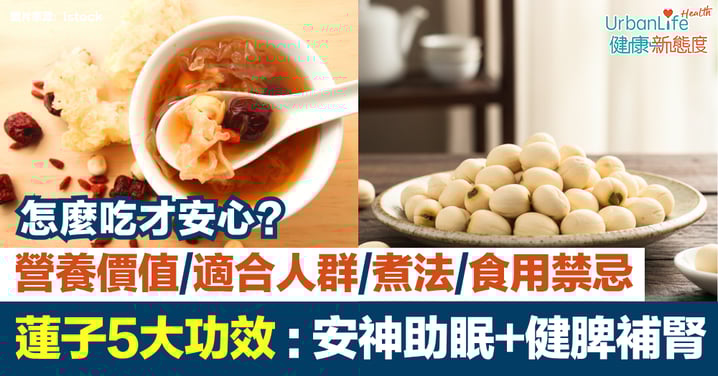 【蓮子功效與禁忌】怎麼吃才安心？營養價值、適合人群、煮法與食用禁忌｜安神助眠、健脾補腎