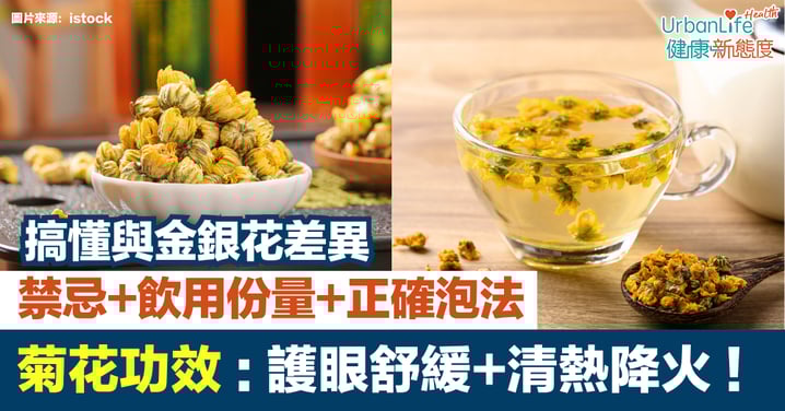 【菊花功效】護眼舒緩、清熱降火|禁忌、飲用份量、正確泡法與金銀花差異一次看