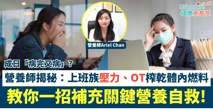 【免疫力不足】成日「病完又病」？營養師揭秘：壓力、OT榨乾體內燃料！教你一招補充關鍵營養自救！