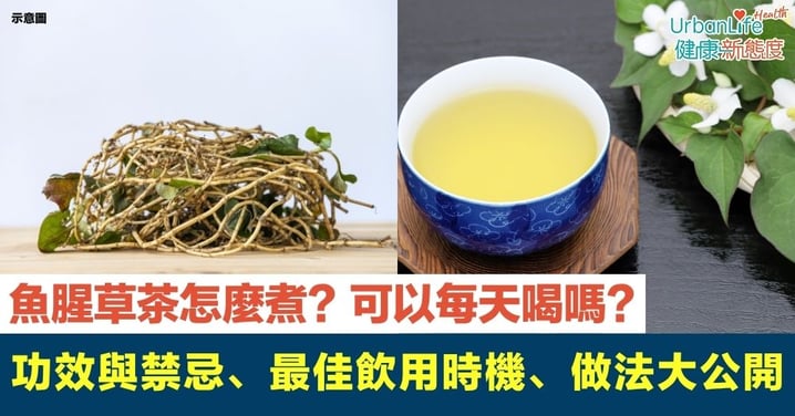 【魚腥草茶】魚腥草茶功效與禁忌、最佳飲用時機、魚腥草茶做法大公開｜魚腥草茶怎麼煮？可以每天喝嗎？