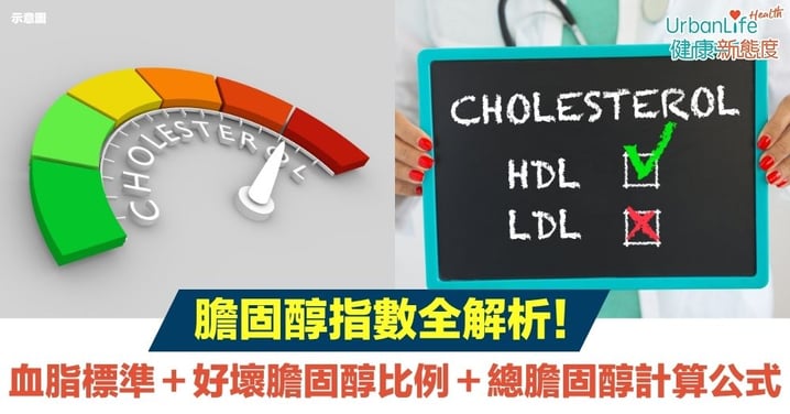 【膽固醇指數標準香港】膽固醇指數全解析|一文掌握血脂標準+好壞膽固醇比例+總膽固醇計算公式