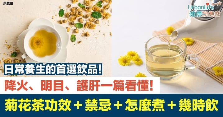 【菊花茶】菊花茶功效與禁忌全解析|教你菊花茶怎麼煮、幾時飲、飲多少最有效!降火、明目、護肝一篇看懂