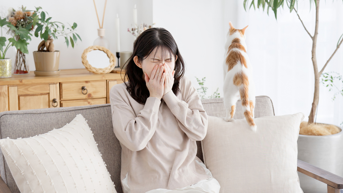 當我們的鼻黏膜接觸到過敏原,例如塵蟎、花粉、動物皮屑等,可直接刺激鼻黏膜,導致充血及腫脹。