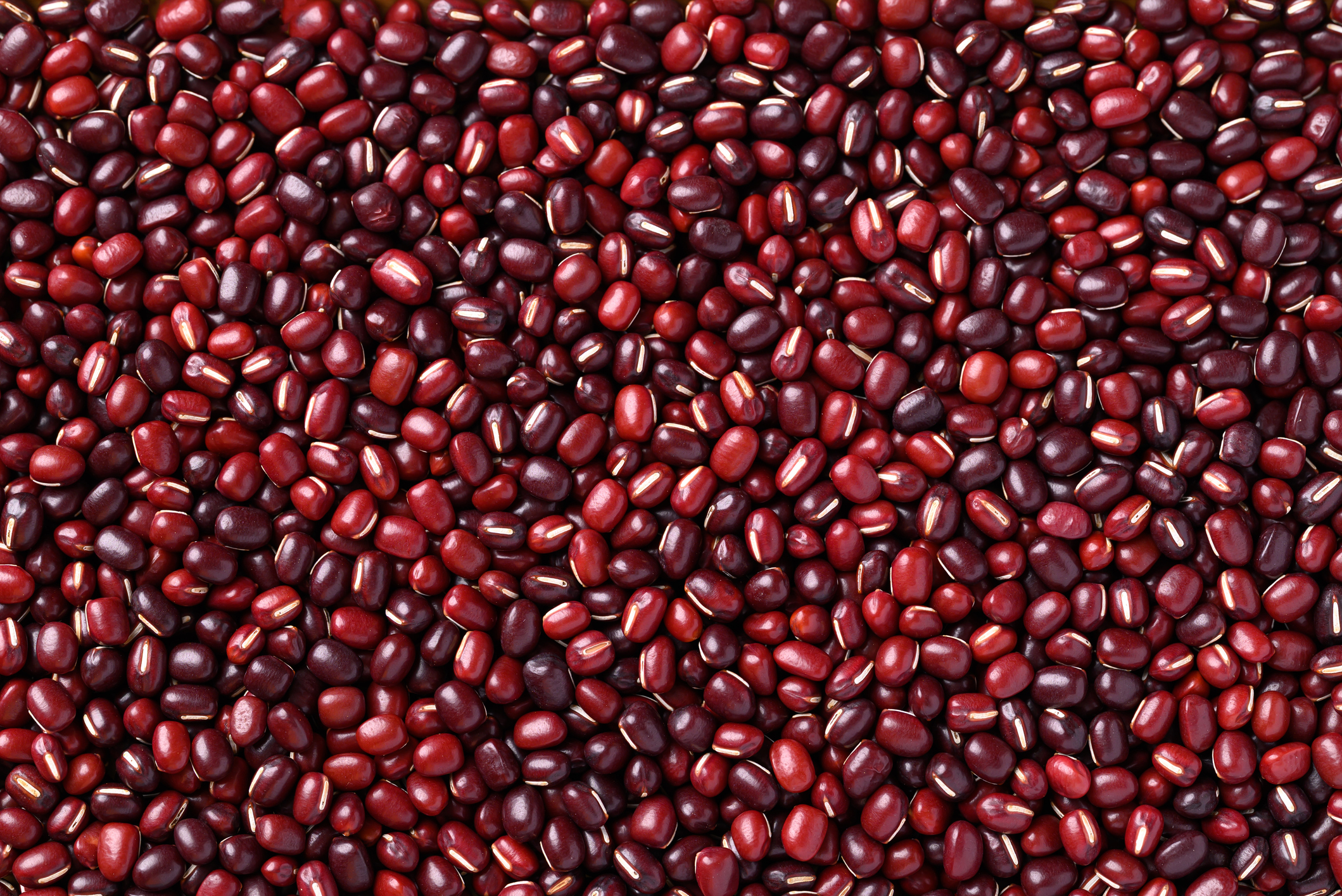 雖然外觀相似,但紅豆顆粒圓潤、性味甘平且易煮爛,而赤小豆顆粒細長、性味微寒且久煮不爛。