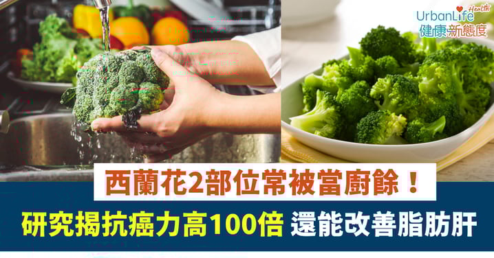 【蔬菜知識】西蘭花2部位常被當廚餘！研究揭抗癌力高100倍 還能改善脂肪肝