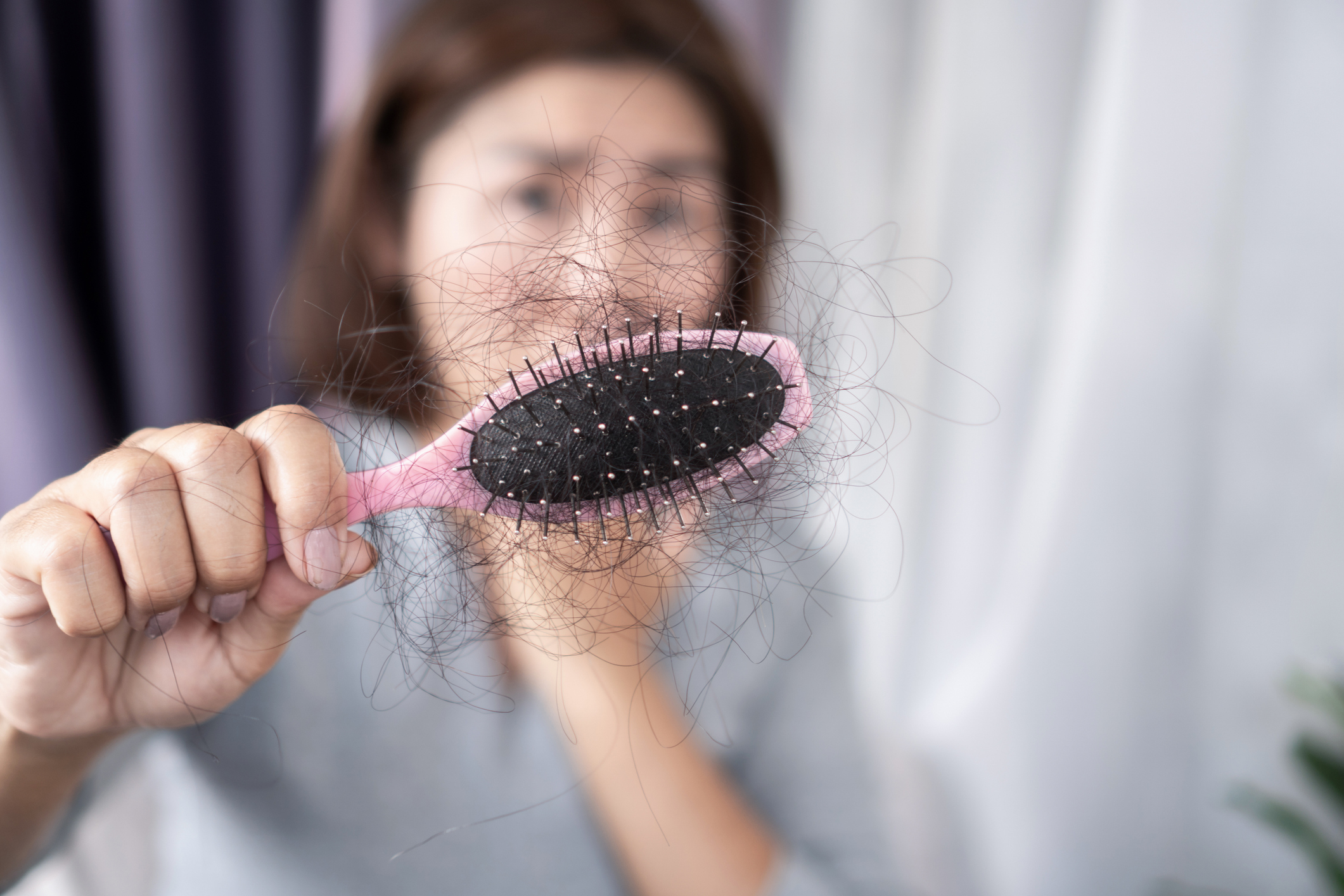 台灣大學醫學工程系的團隊,近日便發表了一項突破性的研究成果,他們透過解析毛髮的再生機制,研發出一種「天然精華液」,在動物實驗中,竟成功讓無毛的老鼠,在短短三星期內重新長出毛髮!