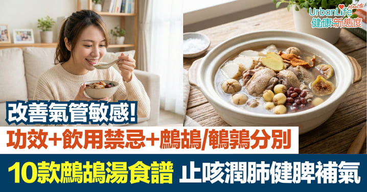 【鷓鴣湯功效】10款鷓鴣湯食譜推介、功效、飲用禁忌與鷓鴣鵪鶉分別|改善氣管敏感、止咳潤肺