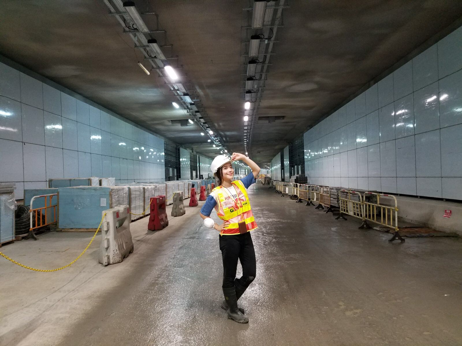 Janice 出身工程世家，父親也是一位土木工程師。大學畢業後，她順理成章地投身工程界，參與政府大型基建項目。