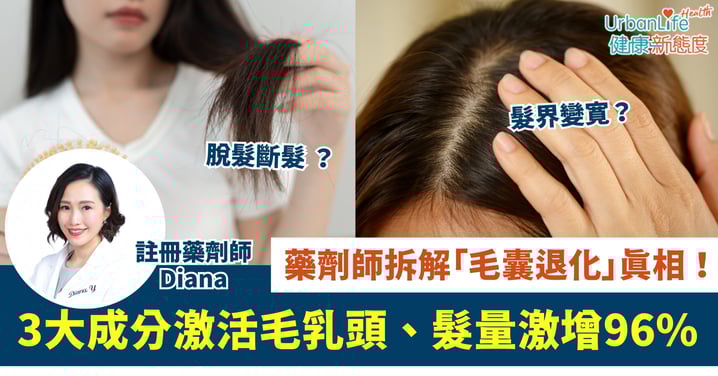 【脫髮救星】藥劑師拆解「毛囊退化」真相!3大成分激活毛乳頭、髮量激增96%