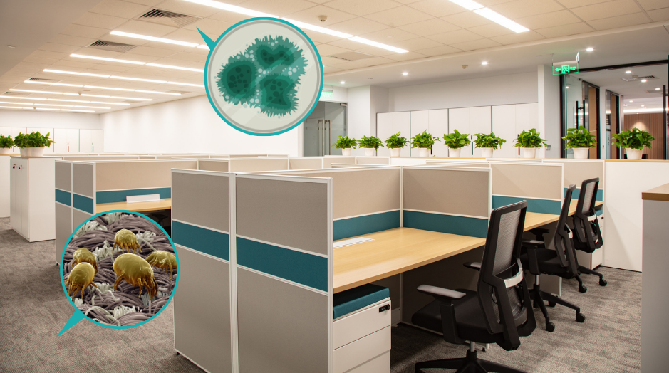 為了減低噪音,不少辦公室會鋪設地毯,加上梳化等,這些材質極容易吸附灰塵及塵蟎的排泄物。