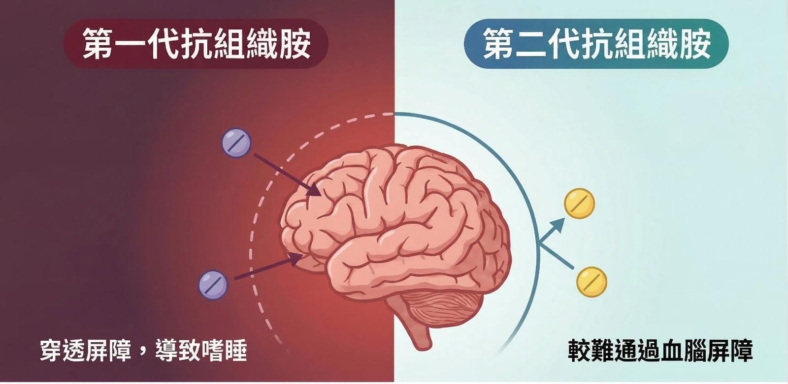 「血腦屏障」（Blood-Brain Barrier, BBB）就像是大腦的「海關」，負責過濾血液中的物質，保護大腦。資料來源： ² 《口服抗過敏藥物》衞生署藥物辦公室 https://www.drugoffice.gov.hk/eps/do/tc/consumer/news_informations/dm_08.html#c 2012 (Accessed Date Jan 2026) ³《藥到病除：第二代抗組織胺藥 減疲倦便秘副作用》香港醫院藥劑師學會藥物教育資源中心https://www.derc.org.hk/en/news-detail.php?id=805 2019 (Accessed Date Jan 2026) ⁹ 《Antihistamines》Cleveland Clinic. https://my.clevelandclinic.org/health/treatments/antihistamines 2024 (Accessed Date Jan 2026) 