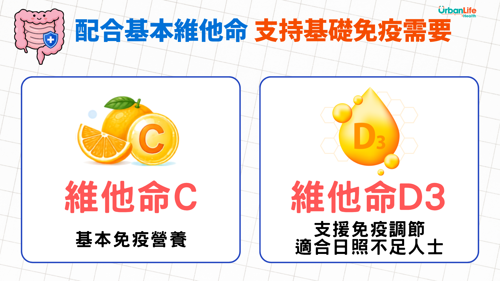 維他命C是常見的基本免疫營養，有助維持正常免疫功能；而維他命D3亦有助維持正常免疫功能，是日常免疫營養的一部分。