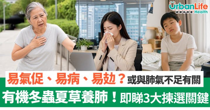 日日冇精神、易病、易攰、行幾步就氣促?或與肺氣不足有關!冬蟲夏草有助養肺 即睇3大揀選重點