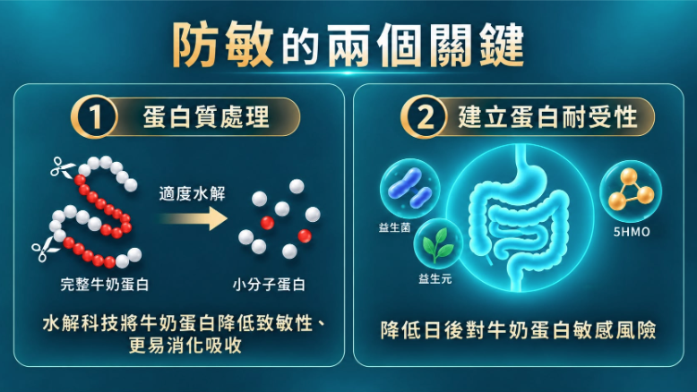 BB腸道微生態仍在發展階段,腸道除了負責消化吸收,亦與免疫系統發展息息相關。