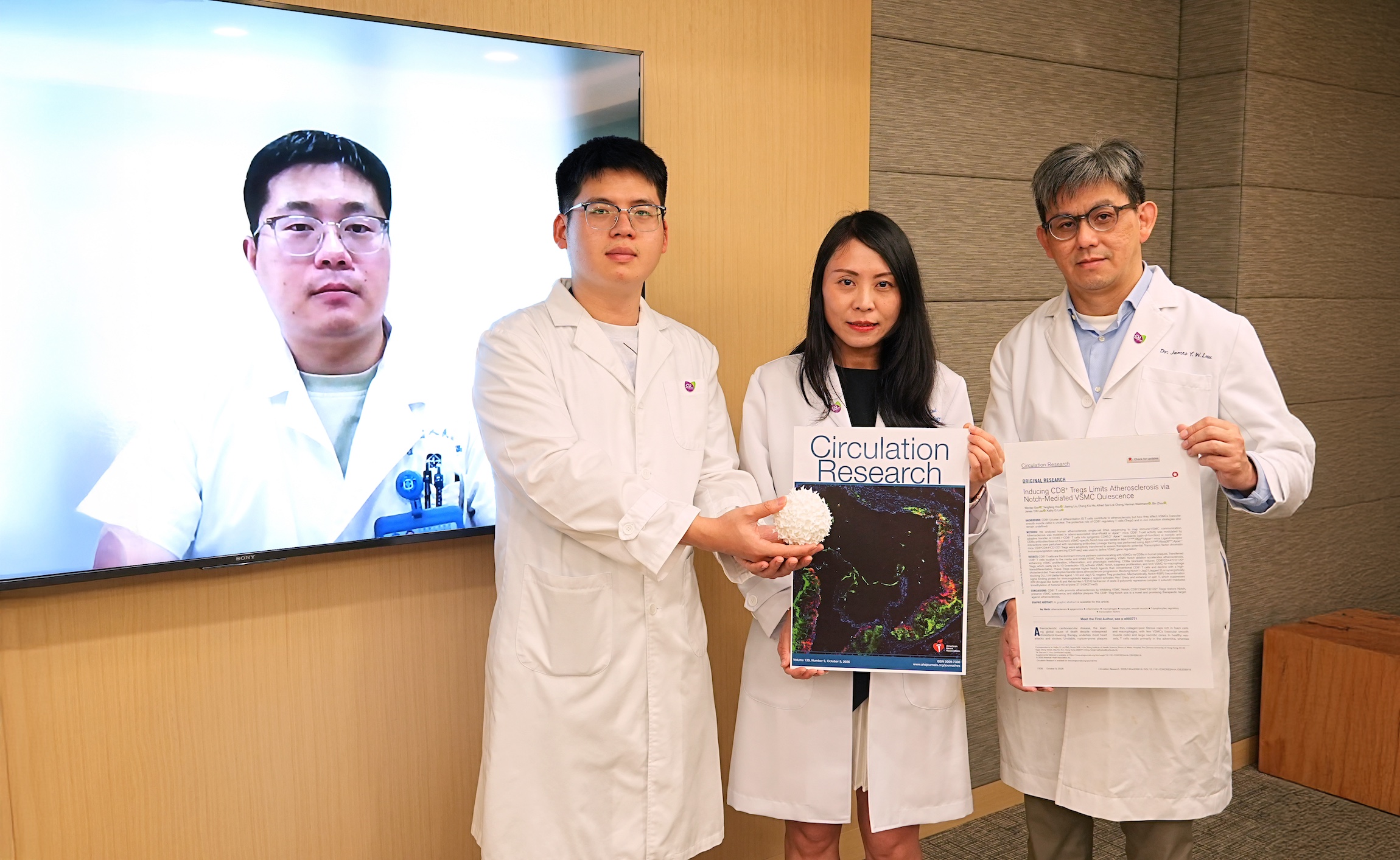 中大醫學院最新研究揭示一種名為「保護性CD8⁺ Treg」的免疫細胞可作為新型治療靶點對抗動脈粥樣硬化。 研究團隊成員包括(右起)中大姚連生外科講座教授劉潤皇教授、研究通訊作者呂愛蘭教授、共同第一作者侯楊峰博士及第一作者高文韜博士。