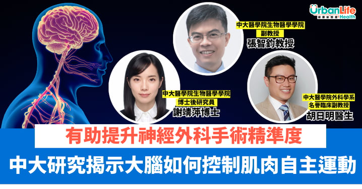 【中大最新研究】揭示大腦如何控制肌肉自主運動 有助提升神經外科手術精準度 為腦機介面技術發展帶來新啟示